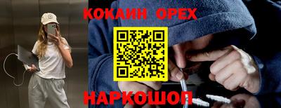прущие крисы Аргун
