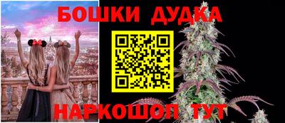 прущие крисы Аргун