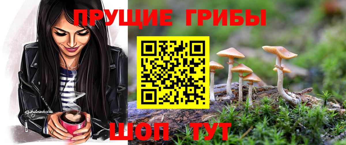 Батайск  Галлюциногенные грибы Psilocybe  Вход с VPN  Галлюциногенные грибы мухоморы 